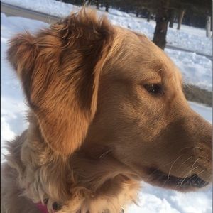 Meet your Posher, Julia